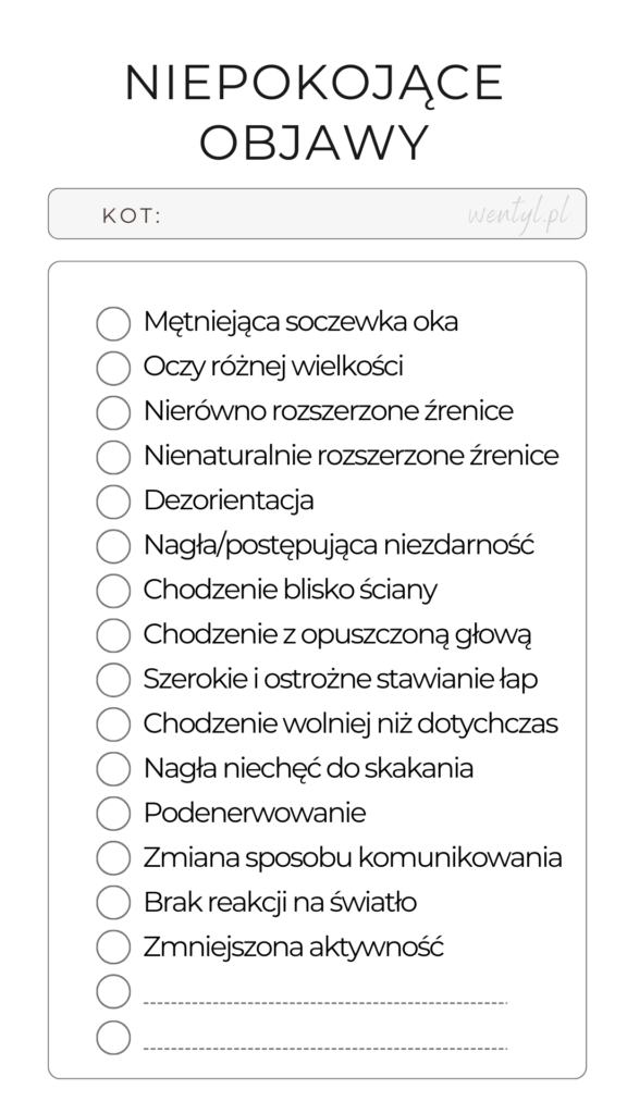 Czy mój kot ślepnie? Lista niepokojących objawów