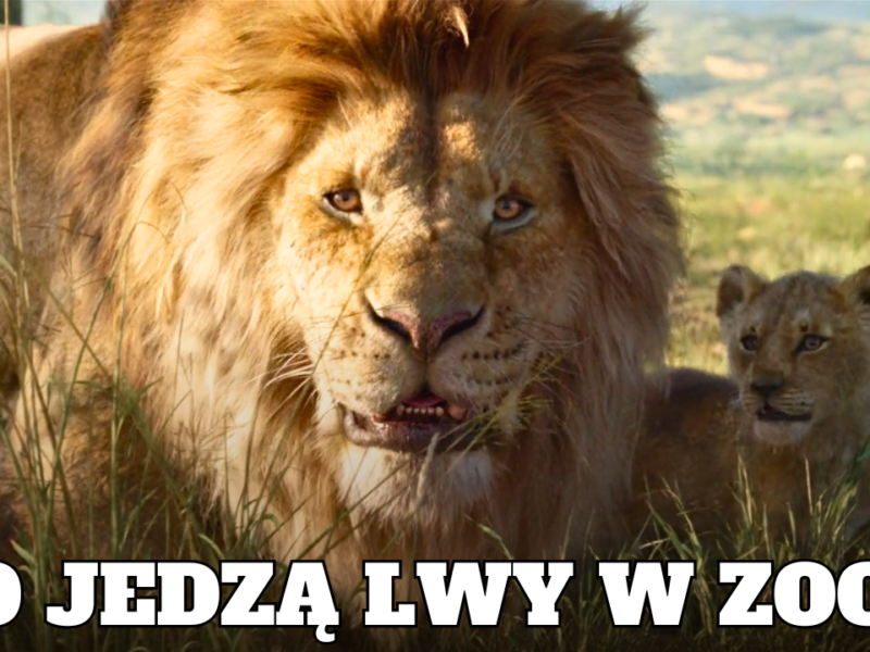 król lew mufasa - co jedzą lwy